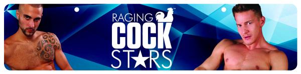 Raging Cockstars Display Sign