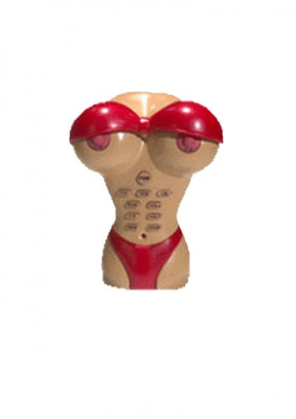 Boob Tube TV Universal Remote Control