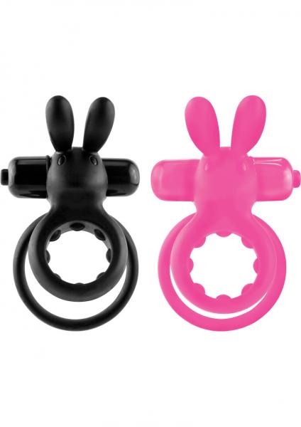 The Ohare Ring 6 Pieces Assorted Display