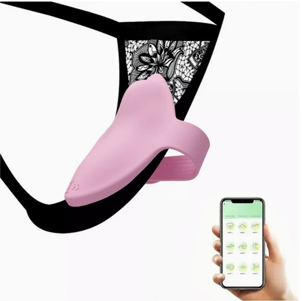 Panty with Remote Control Bullet Sex Toy Vibrating Panties for Couples with Red Pink