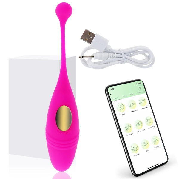Wireless Remote Vibrator
