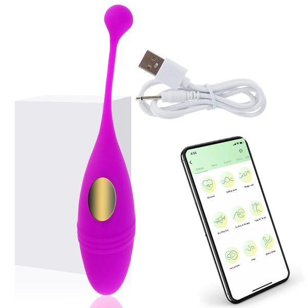 Wireless Remote Vibrator