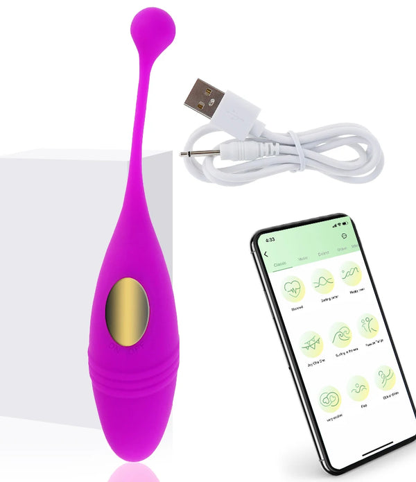 Wireless Remote Vibrator
