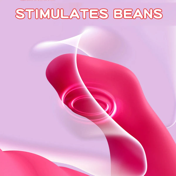 3 in 1 Panties Vibrator