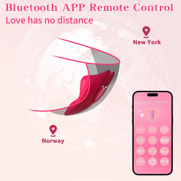 APP-Controlled Wearable Couple's Vibrating Panties