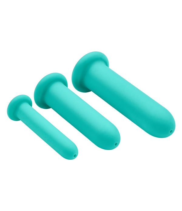 Cloud 9 Health & Wellness Anal Clitoral & Nipple Massager Kit Plum